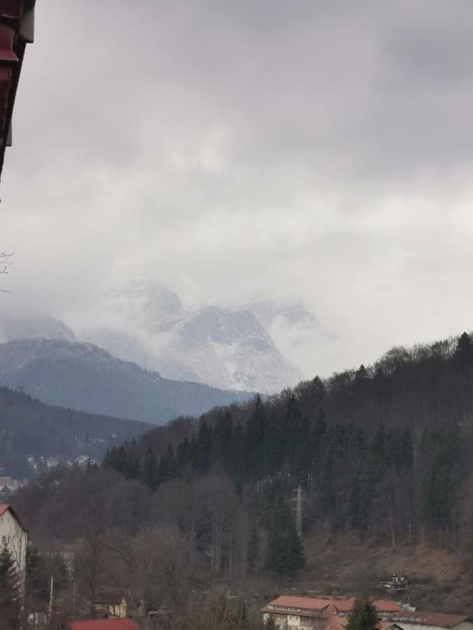 Apartament Panoramic View Sinaia Apartment Luaran gambar