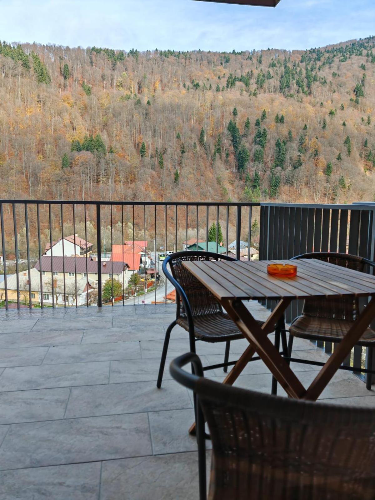 Apartament Panoramic View Sinaia Apartment Luaran gambar