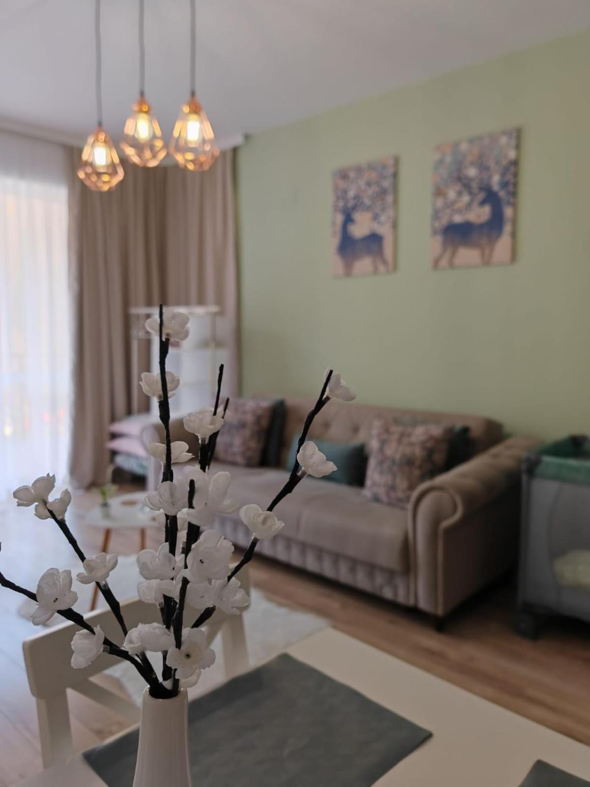 Apartament Panoramic View Sinaia Apartment Luaran gambar